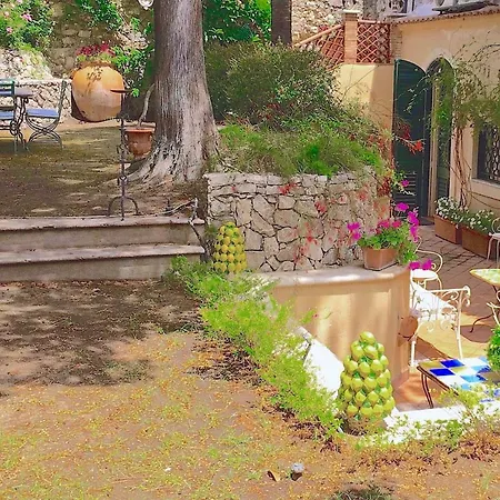Mimosa Villa *
